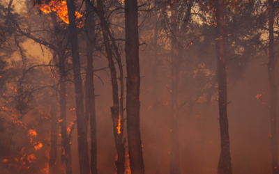 Protection from Wildfire Smoke